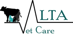 our partner
