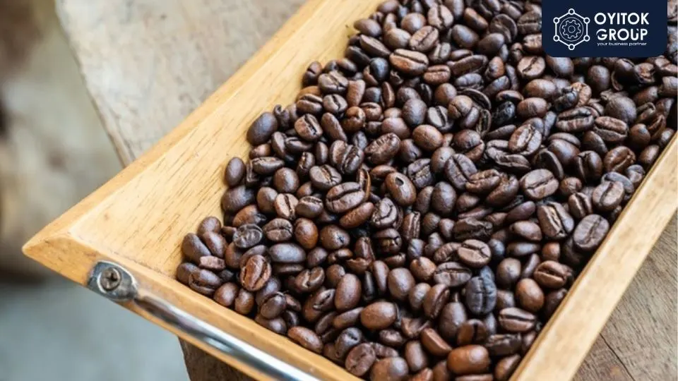 Kopi Arabika terbaik
