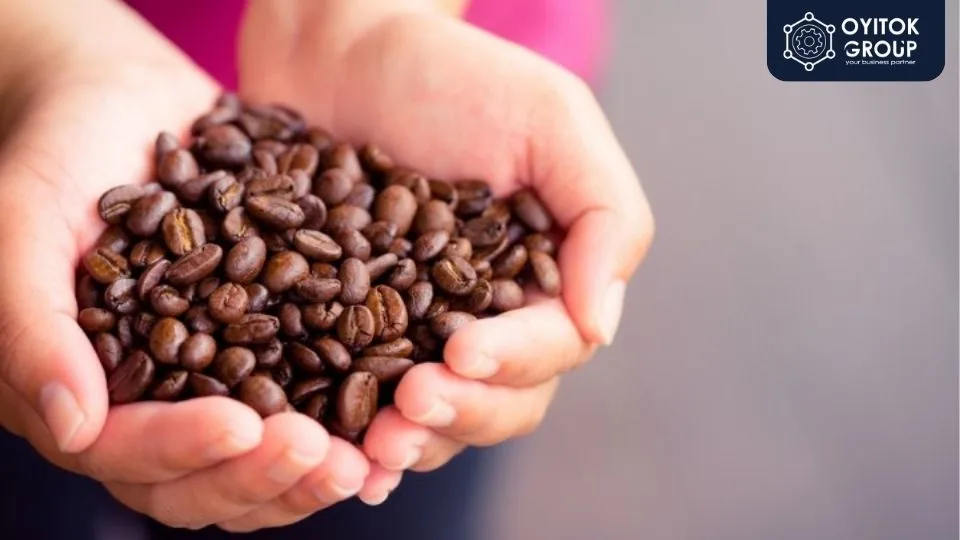 Kopi Liberika jarang ditemui