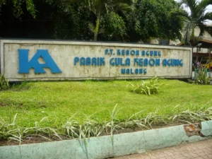 Our partner
