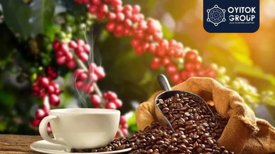 Kopi Lampung yang memiliki keasaman tinggi