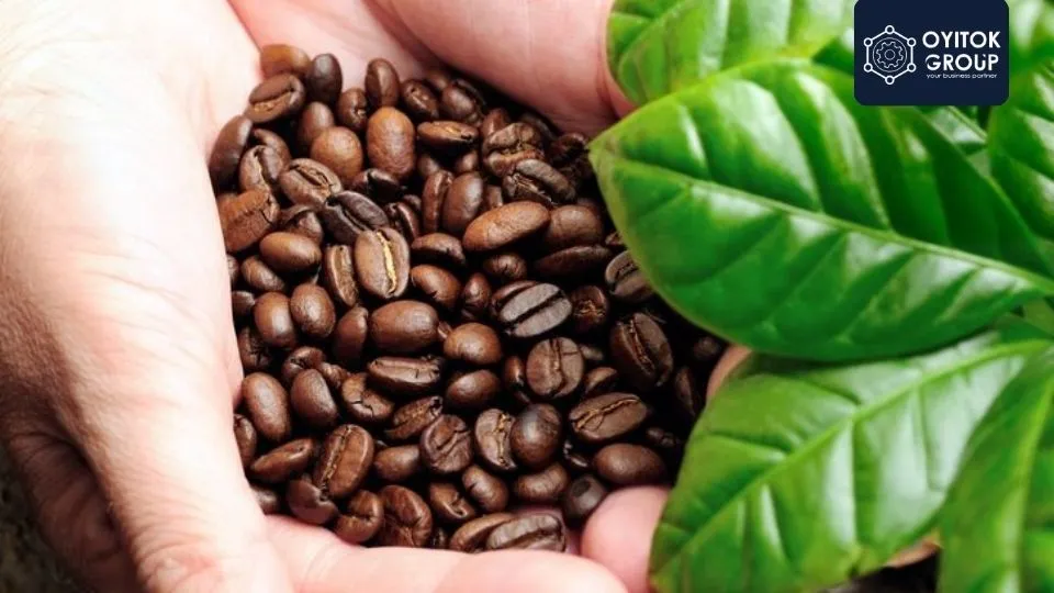 Kopi Wamena Papua