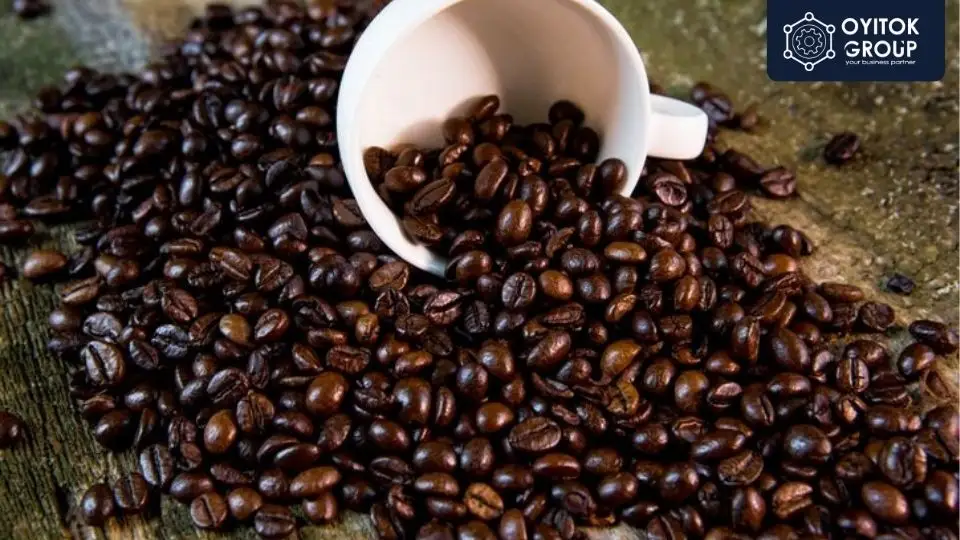 kopi toraja