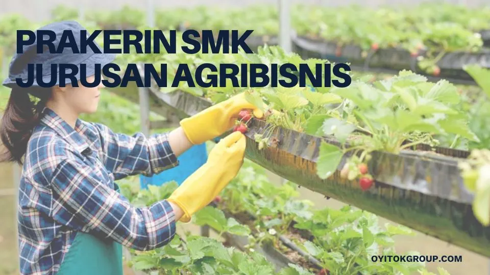 Prakerin SMK Jurusan Agribisnis