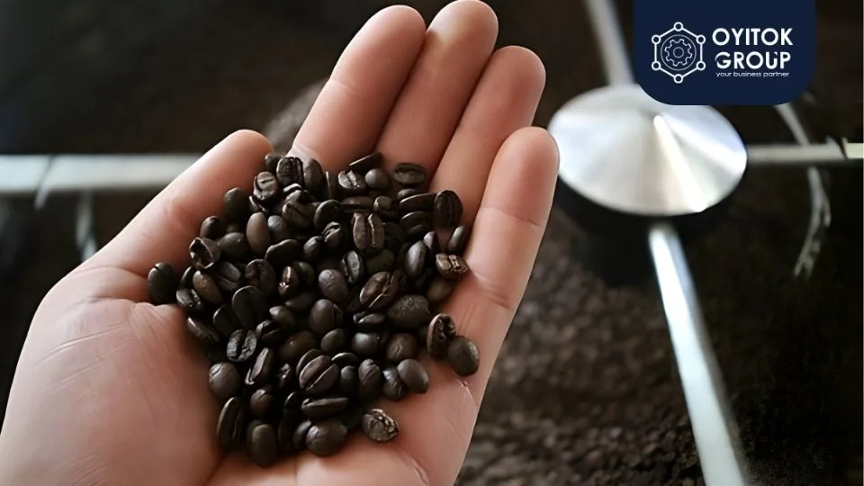 roasting coffe organik